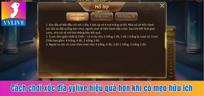 Cách chơi xóc đĩa YYlive hiệu quả hơn khi có mẹo hữu ích