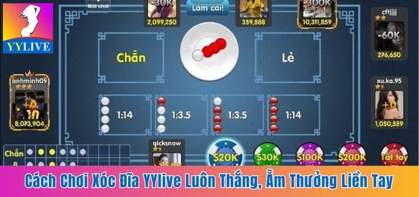 Cách Chơi Xóc Đĩa YYlive Luôn Thắng, Ẵm Thưởng Liền Tay 7 cách chơi xóc đĩa YYlive