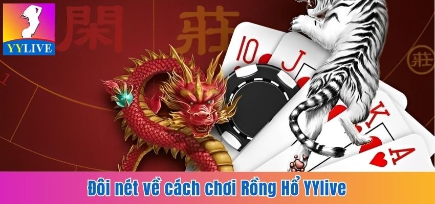 Cách Chơi Rồng Hổ Yylive Dễ Hiểu Giúp Bạn Làm Chủ Ván Cược 2 Đôi nét về cách chơi Rồng Hổ YYlive