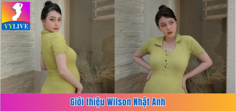 Giới thiệu Wilson Nhật Anh