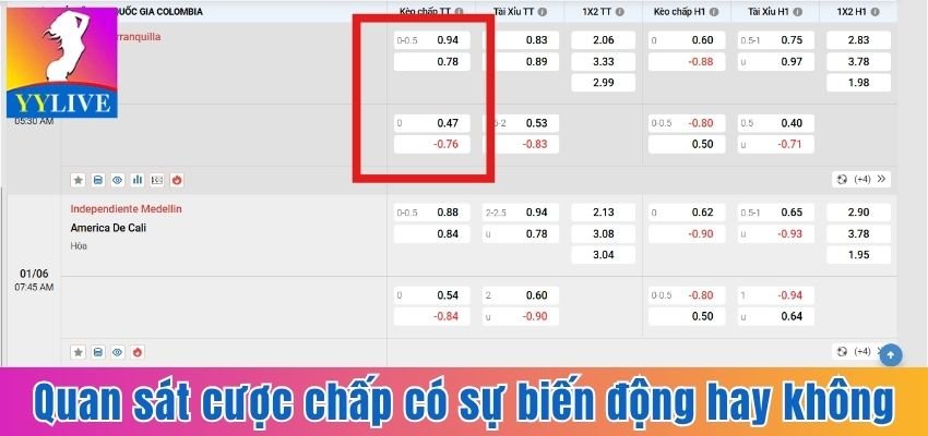 Quan sát cược chấp có sự biến động hay không