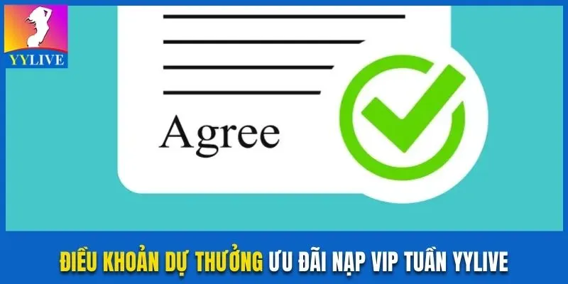 Chương Trình VIP Tuần YYlive Hoàn Tiền Khủng Đến 58.888K 4 Điều khoản dự thưởng VIP nạp trong tuần