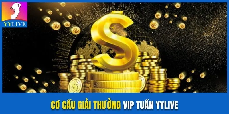 Chương Trình VIP Tuần YYlive Hoàn Tiền Khủng Đến 58.888K 2 Khoản thưởng trong chương trình VIP tuần YYlive