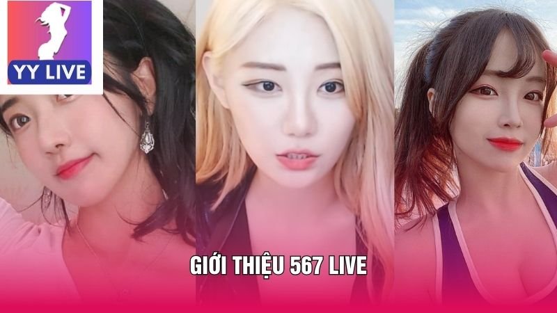 Giới Thiệu 567 Live - Ứng Dụng Giải Trí Trực Tuyến Hàng Đầu