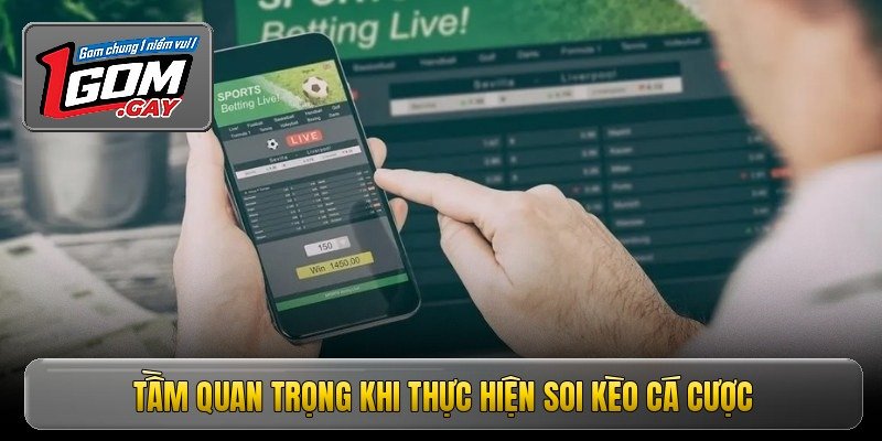 Soi Kèo Cá Cược - Bí Quyết Chiến Thắng Cho Anh Em 2 Tầm quan trọng khi thực hiện soi kèo cá cược