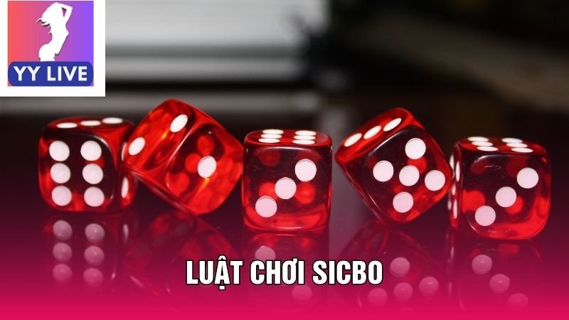 Hướng Dẫn Chi Tiết Luật Chơi Sicbo Dành Cho Tân Thủ Cá Cược 1 Hướng Dẫn Chi Tiết Luật Chơi Sicbo Dành Cho Tân Thủ Cá Cược