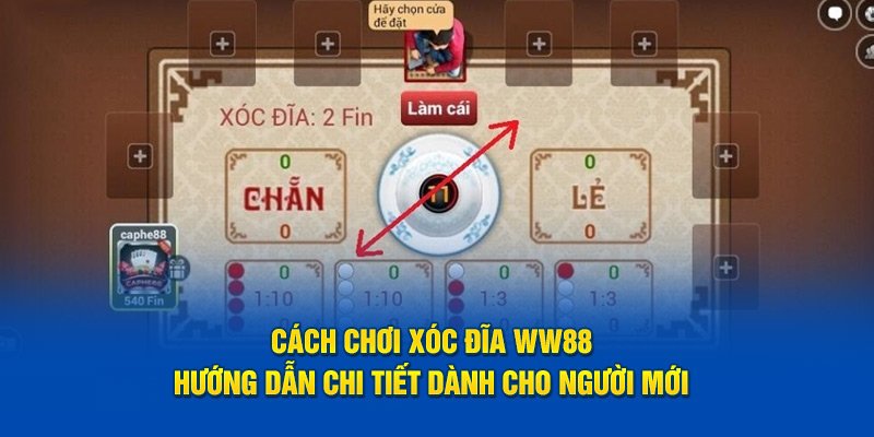 Cách Chơi Xóc Đĩa kucasino - Hướng Dẫn Chi Tiết nhất 2026 1 Cách Chơi Xóc Đĩa kucasino - Hướng Dẫn Chi Tiết nhất 2026