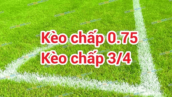 Kèo 3/4 Hitclub Là Gì? Cách Đọc Và Tính Kết Quả 3 Minh họa cách tính thắng đủ thắng nửa thua nửa của kèo 0.75
