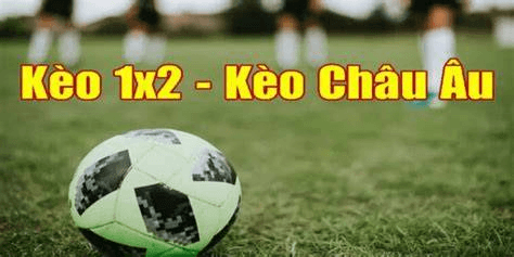 Soi Kèo 1X2 789club: Cách Đọc Tỷ Lệ Và Chọn Cửa Hợp Lý 3 Cách quy đổi tỷ lệ 1X2 thành xác suất tham khảo
