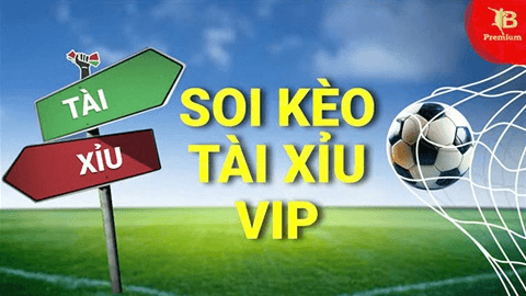 Soi Kèo Tài Xỉu Bóng Đá: Cách Đọc Và Phân Tích Hiệu Quả 5 Các sai lầm thường gặp khi nhận định tổng số bàn thắng