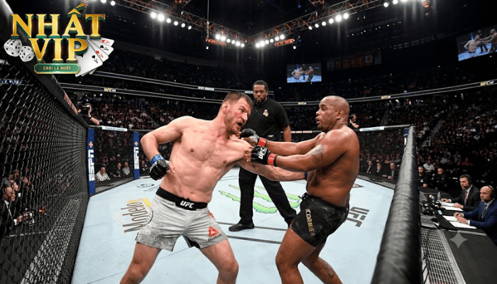 Stipe Miocic: Biểu Tượng Bất Diệt Của Hạng Nặng UFC 3 Giá Trị Truyền Thừa Và Những Tác Động Tới Mai Sau