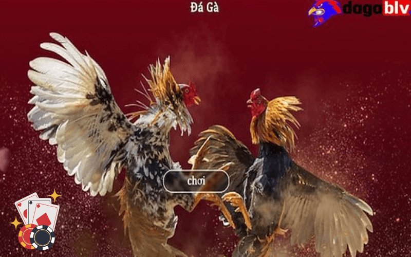 Đá Gà Albany từ game bài đổi thưởng Có Gì Thu Hút Người Xem 4 Người xem theo dõi trận đấu Albany trên màn hình rõ nét