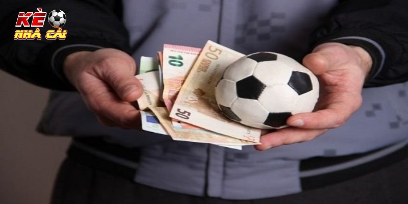 Theo dõi kèo từ nguồn dữ liệu ổn định