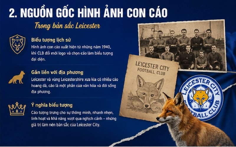 Bầy Cáo Là Đội Bóng Nào Và Nguồn Gốc Biệt Danh Leicester City 3 Hình ảnh con cáo tạo nên nét riêng rất đặc trưng cho Leicester City