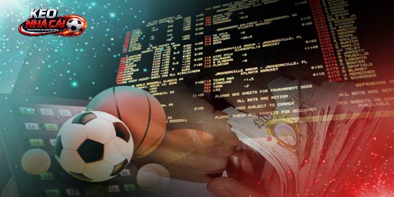 Kèo Nhà Cái 55 – Không Gian Tổng Hợp Dữ Liệu Bóng Đá 2 Kèo nhà cái 55 tạo điểm tra cứu bóng đá tập trung