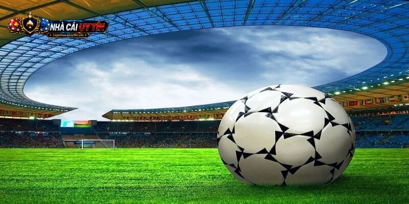 Người dùng kiểm tra giấy phép trước khi chọn