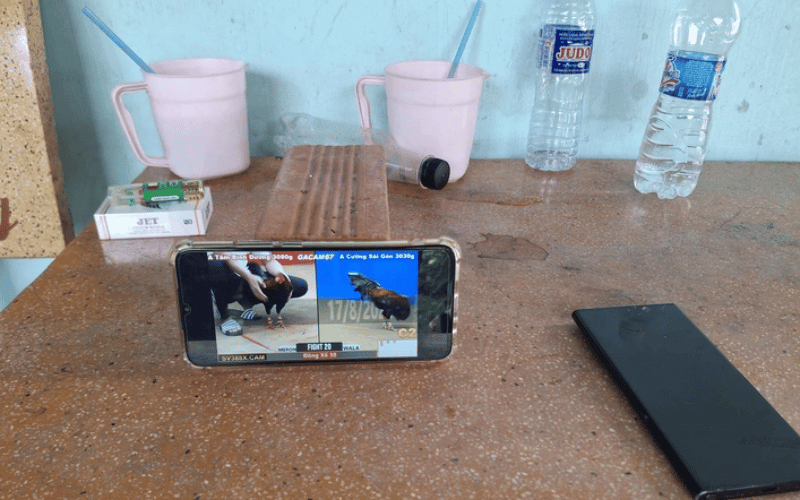 Công nghệ livestream tác động ra sao đến hoạt động xem đá gà 3 Smartphone mở rộng cách theo dõi công nghệ livestream