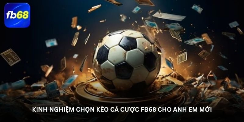 Kinh nghiệm chọn kèo cá cược fb68 - Phong độ và dữ liệu 4 Kinh nghiệm chọn kèo cá cược fb68 cho anh em mới