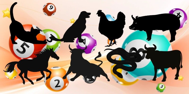 Sổ Mơ Lô Đề - Giải Mã Điềm Báo Từ Giấc Mơ Và Số Lô Đẹp 3 Tổng hợp các số lô may mắn trong giấc mơ con vật